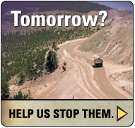Tomorrow?